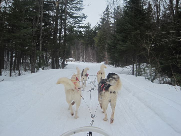 12788326_10209318603104717_2060227567_o