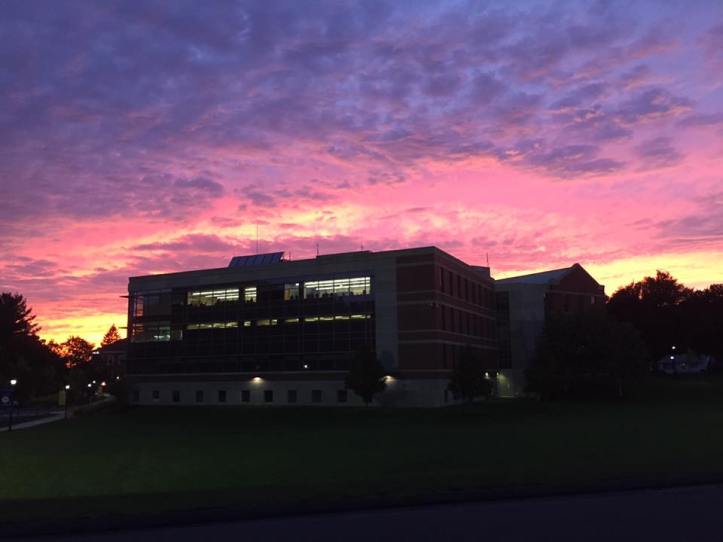 14448977_1121507507886682_2778084964507510997_n - Vincent Chamalé