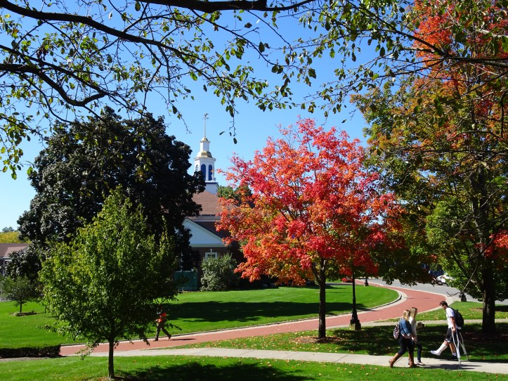 DSC04090 - Vincent Chamalé