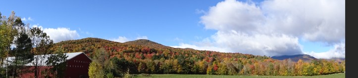 DSC04146 - Vincent Chamalé