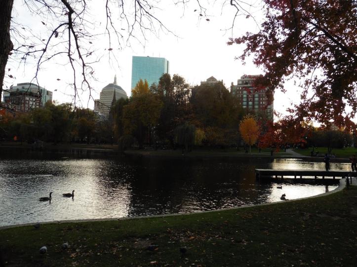 park 1 - Vincent Chamalé