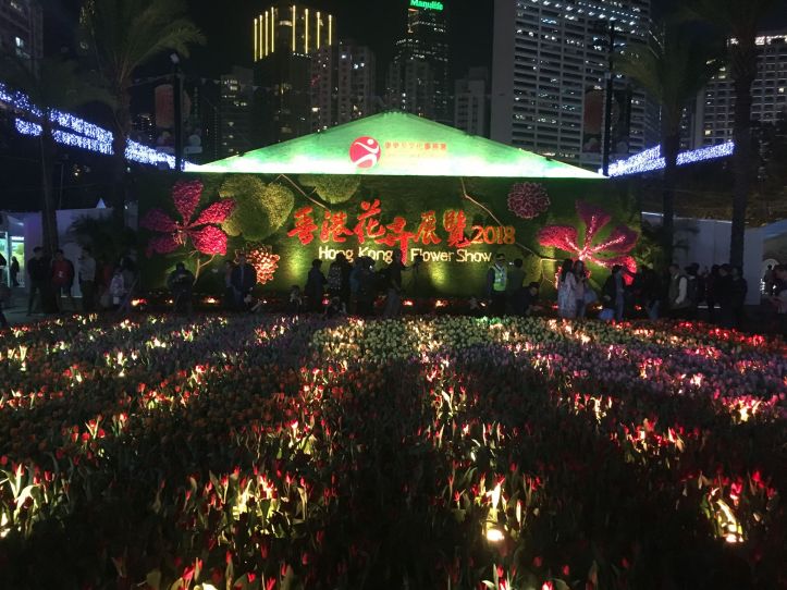 Flower Show - Maitrise Guides